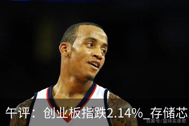 午评：创业板指跌2.14% 存储芯片概念活跃