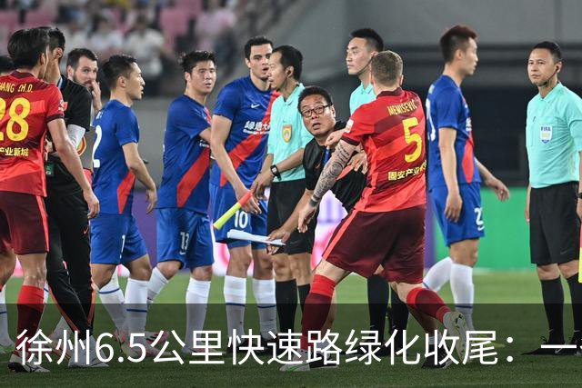 徐州6.5公里快速路绿化收尾：一条高架的价值，一半在桥面上，一半在桥下