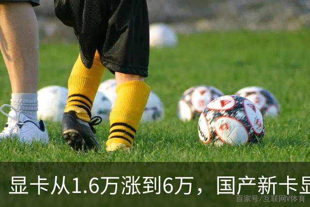 显卡从1.6万涨到6万，国产新卡显存给到64G