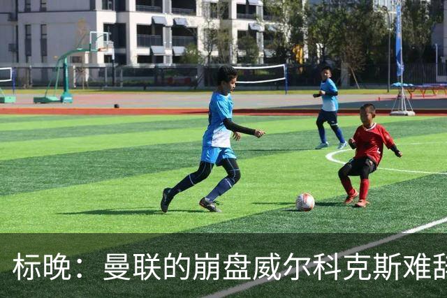 标晚：曼联的崩盘威尔科克斯难辞其咎，他引援不力性价比还不高