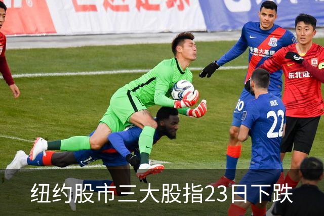 纽约股市三大股指23日下跌