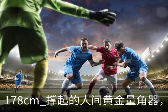 178cm 撑起的"人间黄金量角器"，凭什么火得这么清醒？
